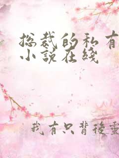总裁的私有宝贝小说在线