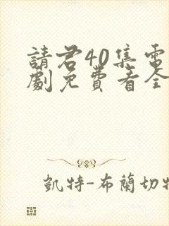 请君40集电视剧免费看全集