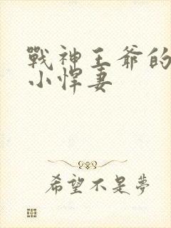 战神王爷的甜宠小悍妻