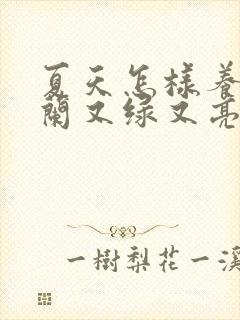 夏天怎样养君子兰又绿又亮