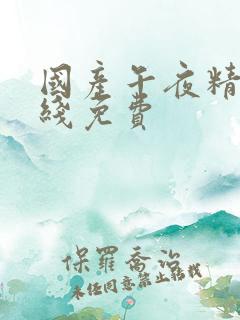 国产午夜精品在线免费