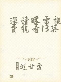 深情眼电视剧免费观看13集