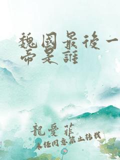 魏国最后一个皇帝是谁