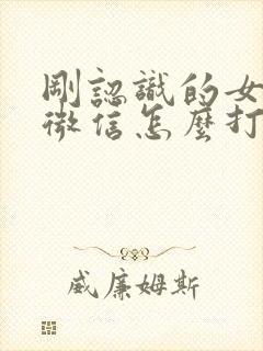 刚认识的女孩子微信怎么打招呼