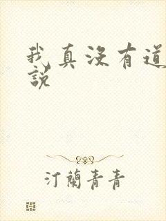 我真没有道侣小说