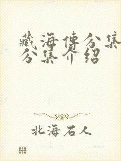 藏海传分集剧情分集介绍