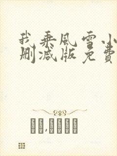 我乘风雪小说无删减版免费阅读