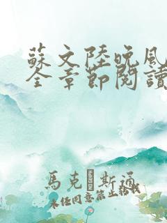 苏文陆晚风小说全章节阅读