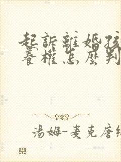 起诉离婚孩子抚养权怎么判决