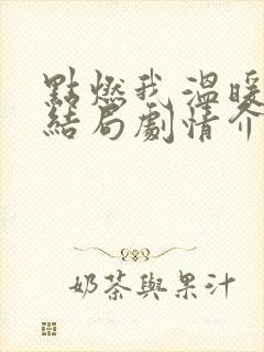 点燃我温暖你大结局剧情介绍