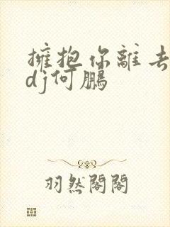 拥抱你离去原唱dj何鹏