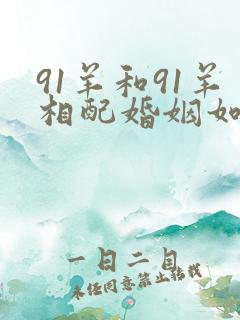 91羊和91羊相配婚姻如何