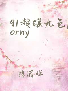 91超碰九色porny
