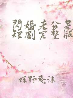 闪婚老公是豪门短剧完整版