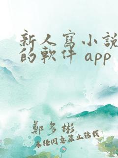 新人写小说赚钱的软件 app
