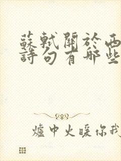 苏轼关于西湖的诗句有哪些