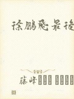 徐鹏飞最后结局
