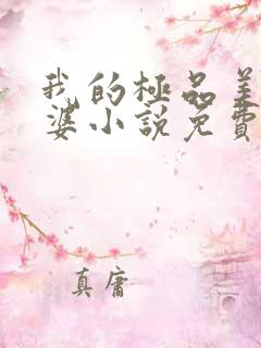 我的极品美女老婆小说免费阅读全文