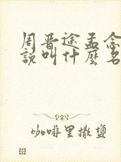 周晋途孟念惜小说叫什么名字啊