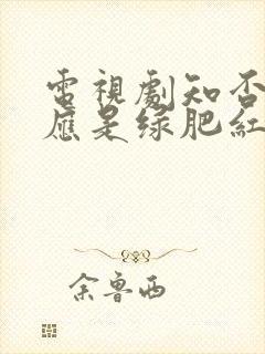 电视剧知否知否应是绿肥红瘦主题曲