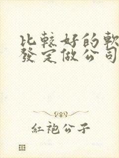 比较好的软件开发定做公司