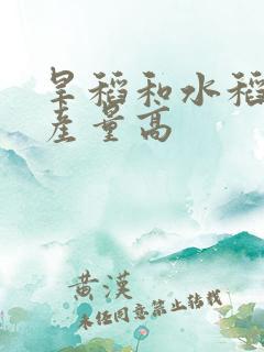 旱稻和水稻哪个产量高
