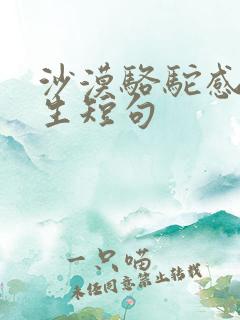 沙漠骆驼感悟人生短句
