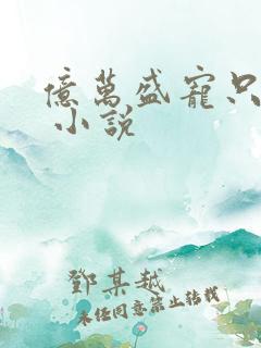 亿万盛宠只为你 小说