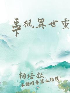 禹枫异世灵武天下