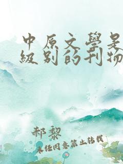 中原文学是什么级别的刊物
