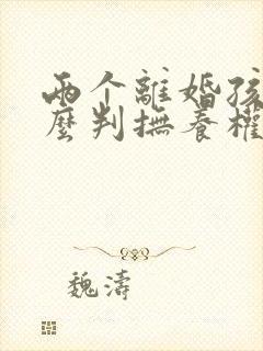 两个离婚孩子怎么判抚养权
