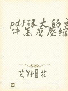 pdf很大的文件怎么压缩到很小
