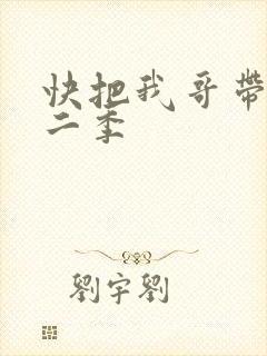 快把我哥带走第二季