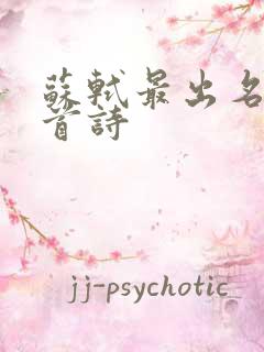 苏轼最出名的十首诗