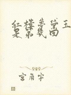 红楼梦黛玉葬花是第几回