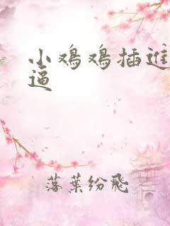小鸡鸡插进大逼逼