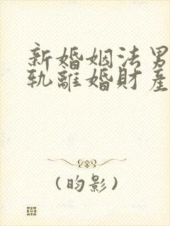 新婚姻法男方出轨离婚财产分割