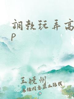 调教玩弄高hnp