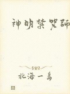 神明禁咒师