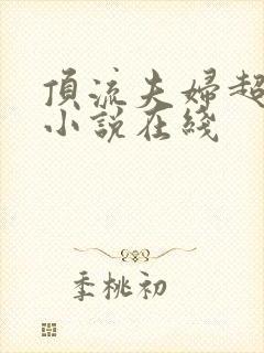 顶流夫妇超甜的小说在线