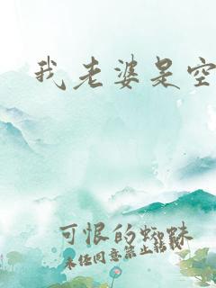 我老婆是空姐
