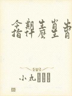 今期生肖出风头指什么生肖