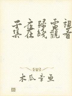 子夜归电视剧全集在线观看免费版高清