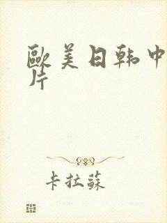 欧美日韩中一级片