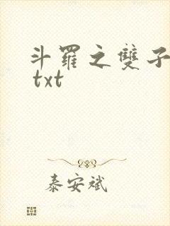 斗罗之双子斗罗 txt