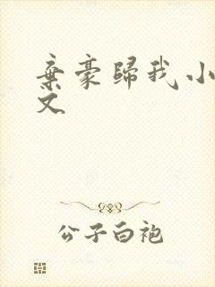 弃豪归我小说全文