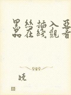黑丝插入亚洲精品在线观看
