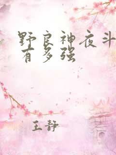 野良神夜斗到底有多强