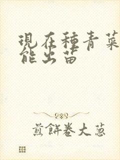 现在种青菜几天能出苗