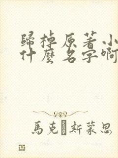 归棹原著小说叫什么名字啊